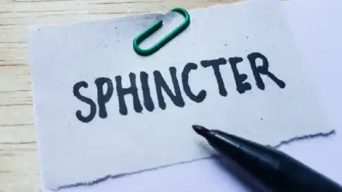 What are the Main Types of Sphincters?